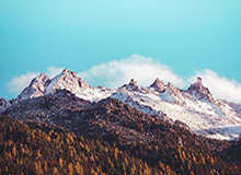 世界杯手机观看-迪巴拉破门卸下千斤担 百场C罗仍是尤文最大依靠